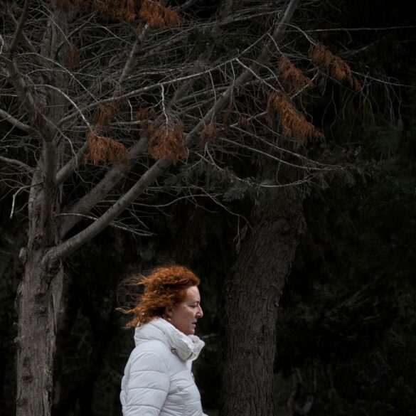 14-GINGER-1000