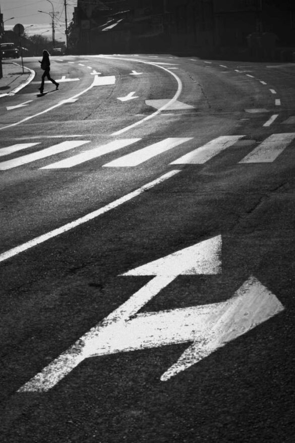 33a-Crosswalking–Goran_Kojadinovic-1000