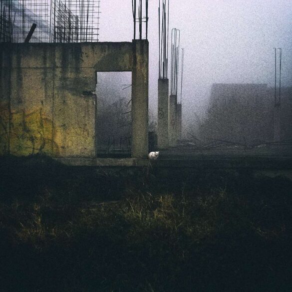 40-Aleksandar Budjevac_home-1000